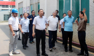 中國有色金屬工業協會副會長段德炳一行蒞臨稀美廣東調研